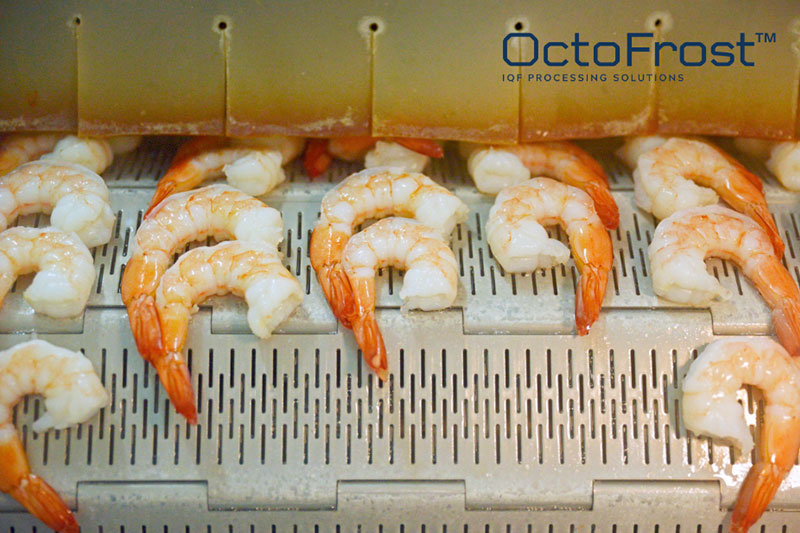 TẠI SAO MÁY LUỘC TÔM SIÊU TỐC OCTOFROST MANG ĐẾN THÀNH CÔNG CHO DOANH NGHIỆP BẠN