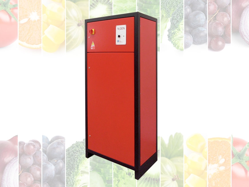 Nitrogen generator