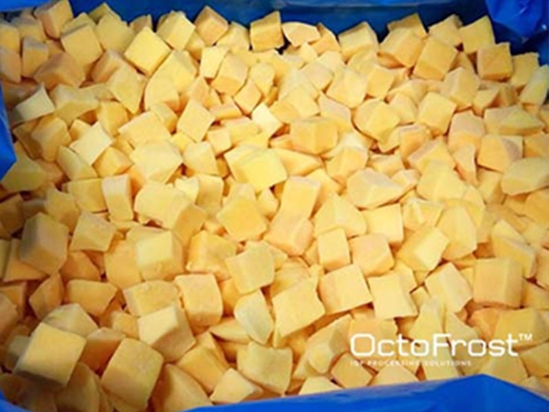 Hệ thống lạnh cấp cho băng chuyền cấp đông IQF OctoFrost, nhiệt độ bay hơi -40C, Cấp đông siêu tốc, tấng sôi