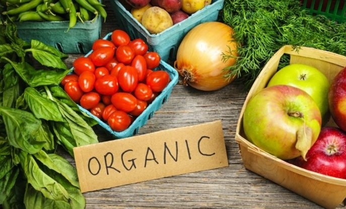 THE GLOBAL ORGANIC SECTOR IS EXPECTED TO GROW OVER THE NEXT DECADE