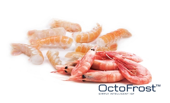 XU HƯỚNG MỚI TRONG NGÀNH CÔNG NGHIỆP IQF: CẤP ĐÔNG NHANH HẢI SẢN