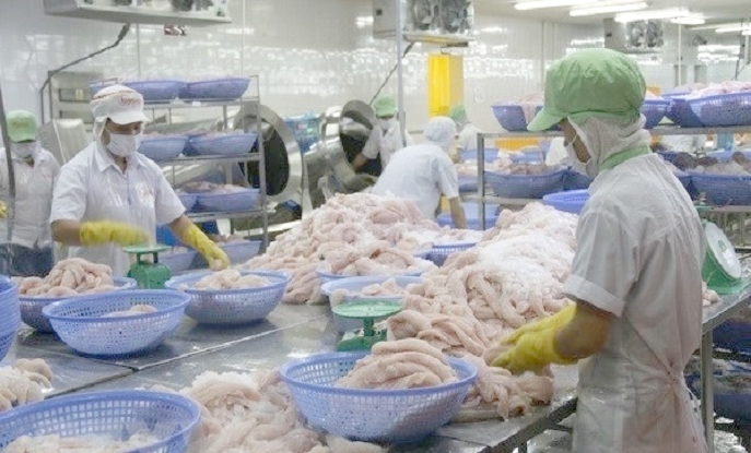 XUẤT KHẨU SANG MỸ - CÁNH CỬA LỚN CHO CÁ TRA VIỆT NAM