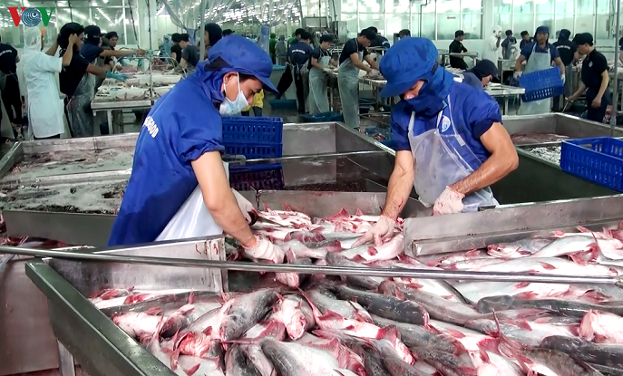CÁ DA TRƠN VIỆT NAM ĐƯỢC HOAN NGHÊNH TẠI THỊ TRƯỜNG MỸ