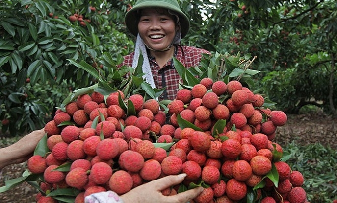 5 NĂM THỬ THÁCH VÀO ĐẤT NHẬT, 10 NĂM TRƯỜNG KỲ QUA CỬA MỸ