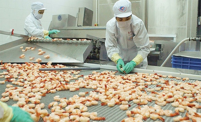 DỰ BÁO XUẤT KHẨU TÔM VIỆT NAM THUẬN LỢI HƠN TRONG NĂM 2020