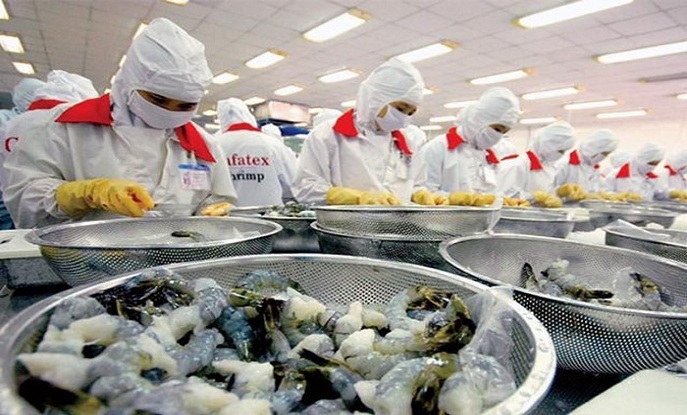 NHIỀU CƠ HỘI CHO TÔM SÚ SANG THỊ TRƯỜNG CHÂU ÂU
