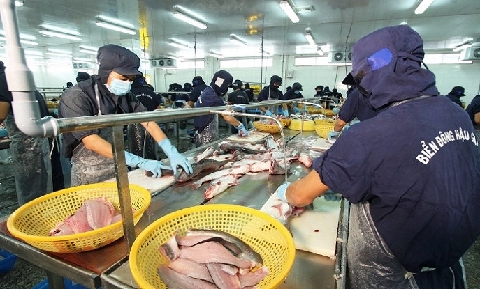 PANGASIUS OPPORTUNITY TO EXPAND THE MARKET