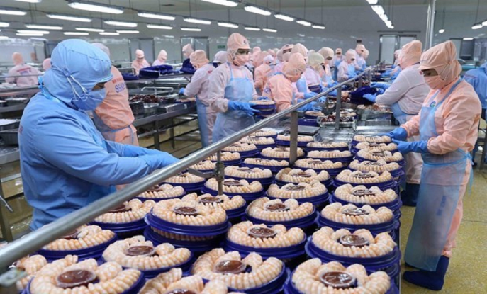 TẠO LIÊN KẾT CHẶT CHẼ KHI XUẤT KHẨU SANG THỊ TRƯỜNG HÀ LAN