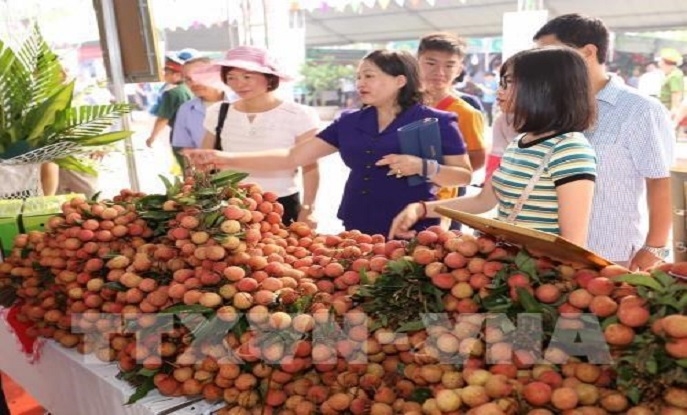 ĐĂNG KÝ GI GIÚP THÚC ĐẨY XUẤT KHẨU CÁC SẢN PHẨM CỦA VIỆT NAM